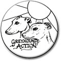 Greyhound Action